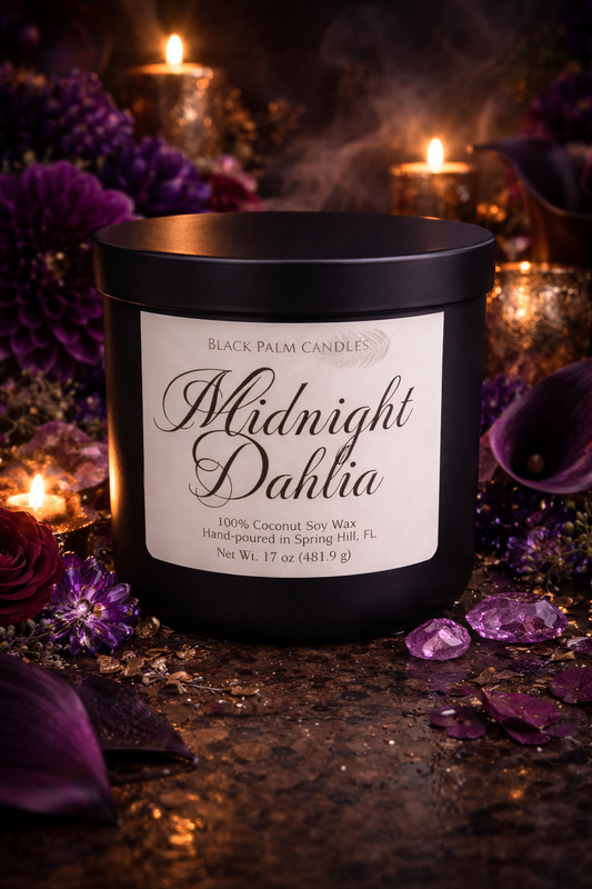 Midnight Dahlia